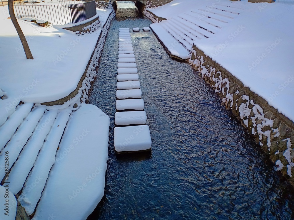 Fototapeta premium Snow in japan vol.77