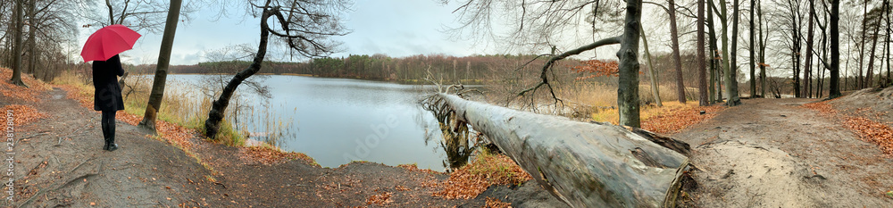 Fototapeta premium a lonely woman is standing by a lake in bad weather with an umbrella