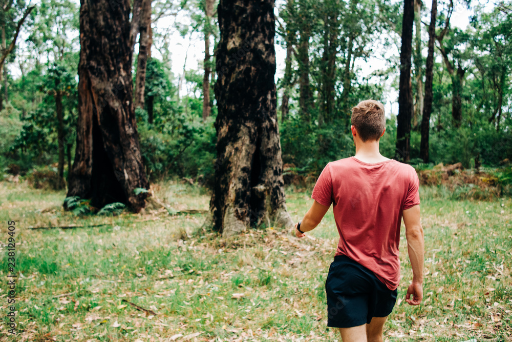 Male works towards trees Male works towards trees