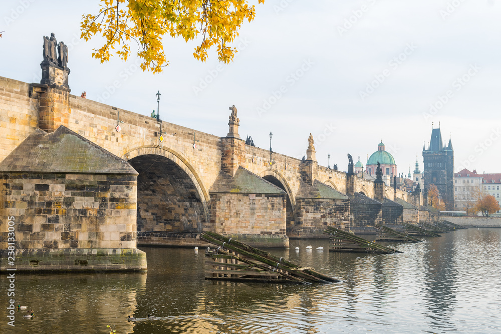 Fototapeta premium prague river bank and old town at background, czech republic