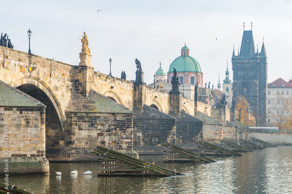 Fototapeta premium prague river bank and old town at background, czech republic