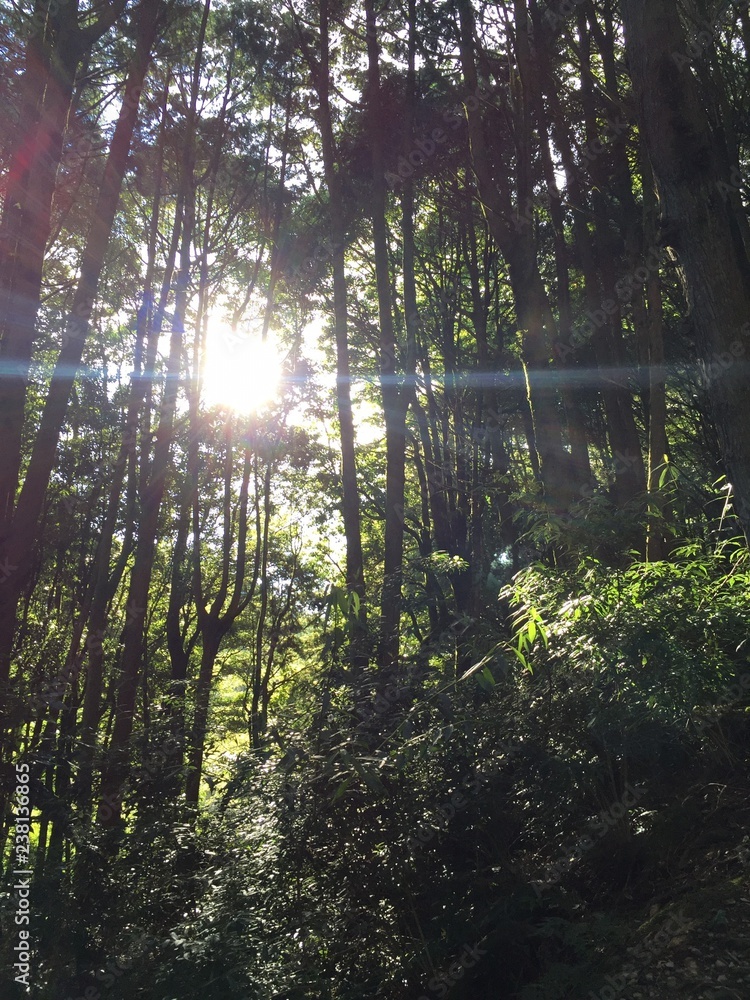Obraz premium Taiwan landscape photo