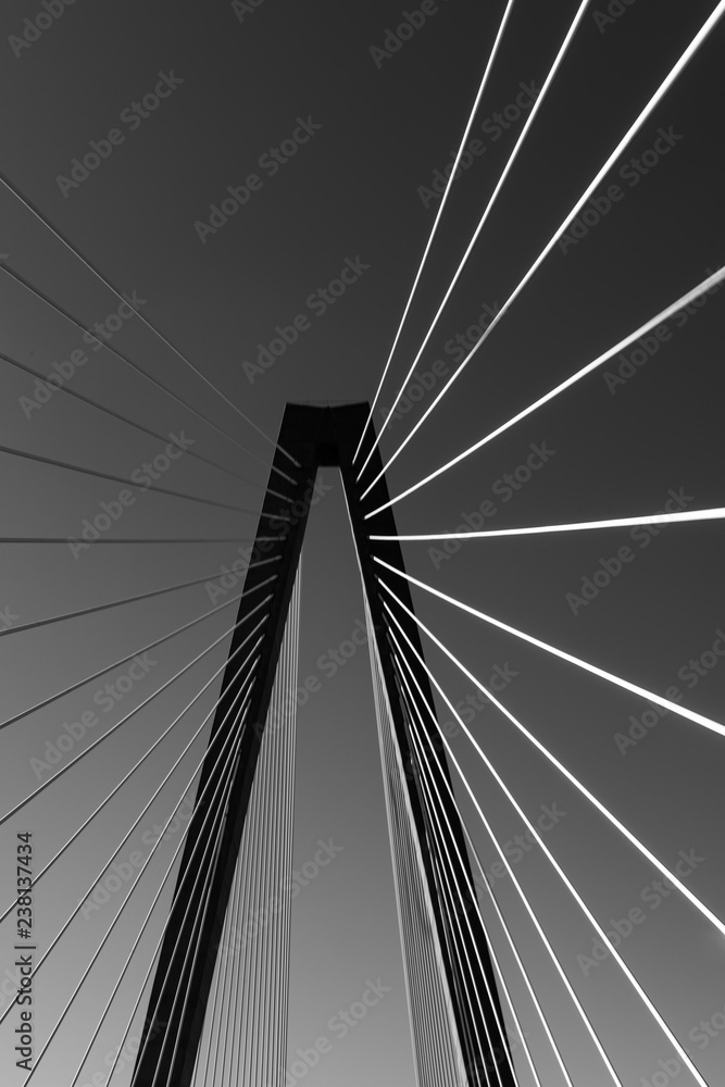 Fototapeta premium Arthur Ravenel Jr Bridge