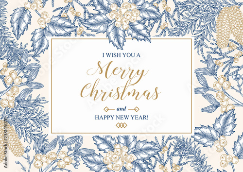 Hand drawn Christmas card with winter plants. Spruse, holly, mistletoe, juniper and cones vector illustration. Botanical design elements.