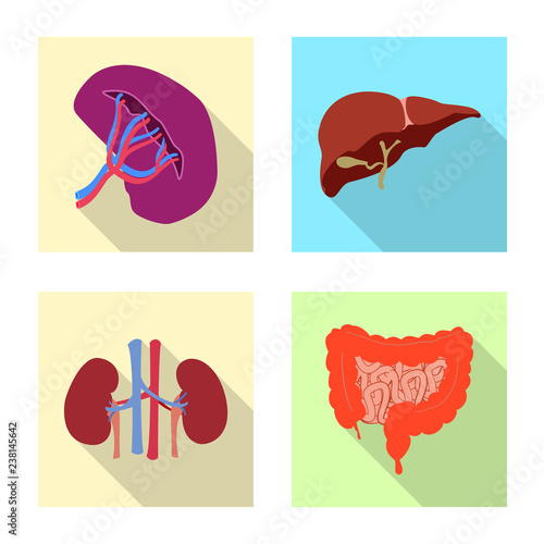 Vector design of body and human symbol. Set of body and medical vector icon for stock.