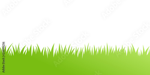 Vector green grass: natural, organic, bio, eco label and shape on white background photo