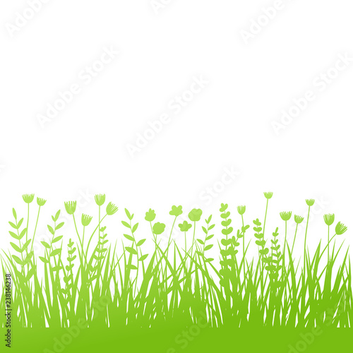 Vector green grass: natural, organic, bio, eco label and shape on white background © natakukushkina