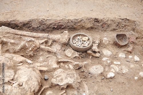 Archaeological excavations. Human remains (bones, skeleton and skull) in the ground, with little found artefacts in the tomb. Real digger process. Outdoors, copy space, close up.