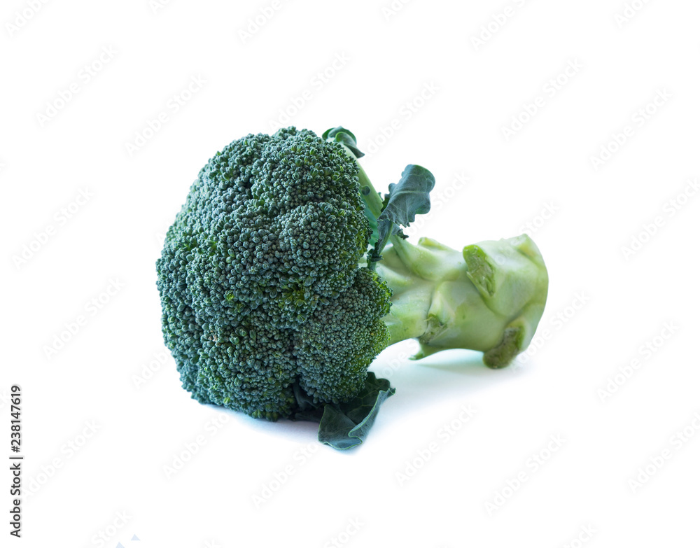 Broccoli on white background. Broccoli with copy space for text. Broccoli isolated on a white background. Broccoli close-up. Broccoli on white background. Broccoli with copy space for text. Broccoli isolated on a white background. Broccoli close-up.