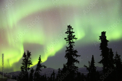Fairbanks, Alaska, the northern light, beautiful and amazing aurora in the night sky