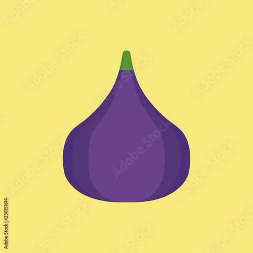 Fig icon in flat design with yellow background