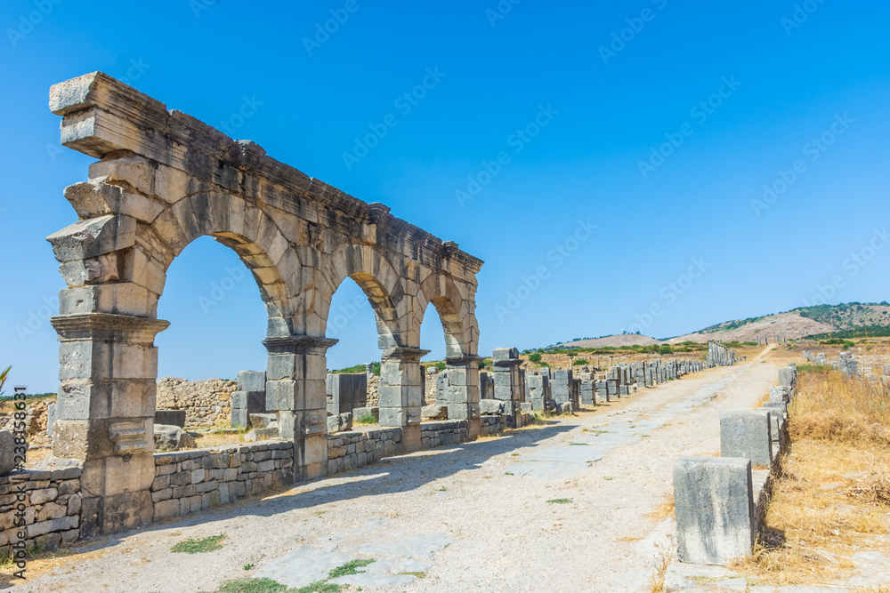Roman ruins of Volubilis, morocco