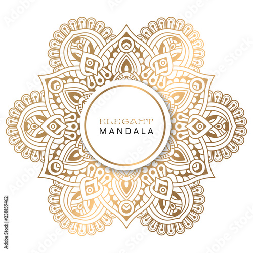 Vector round circle. Mandala style. Decorative element with gold.