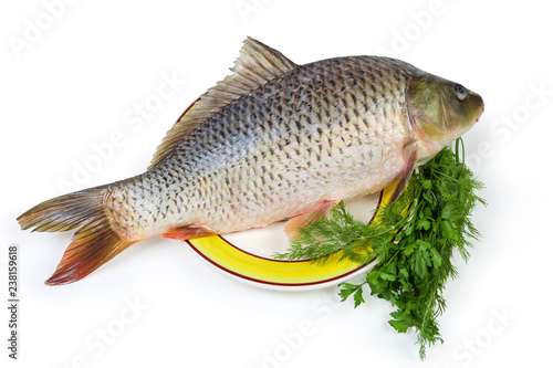 Raw carp prepared for cooking on dish and greens bundle