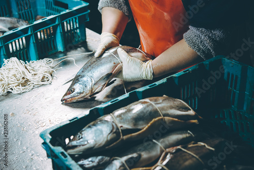 Vászonkép fish factory process