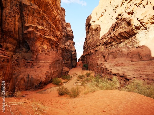 valley in a rocky desert