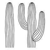 Line art black and white mexican cactus