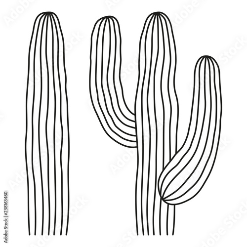 Line art black and white mexican cactus