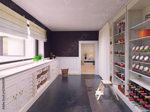 Modern pantry interior design.