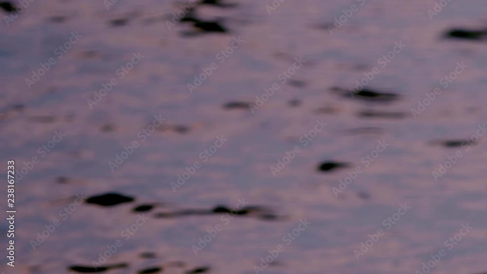 silhouette, close-up. professional quadcopter flies against the sea. silhouette, close-up. professional quadcopter flies against the sea.