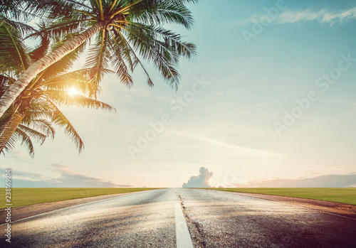 Panoramic tropical road and palms