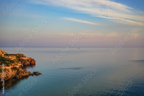 Seascape with coastline covered with vegetation.