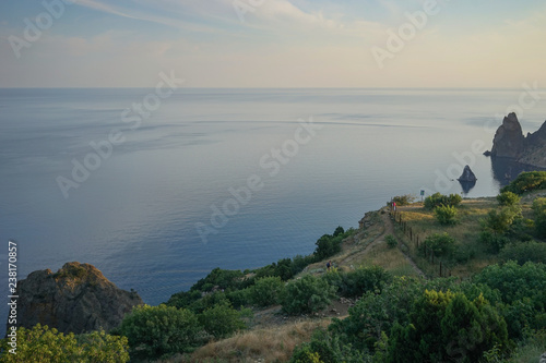 Seascape with coastline covered with vegetation.