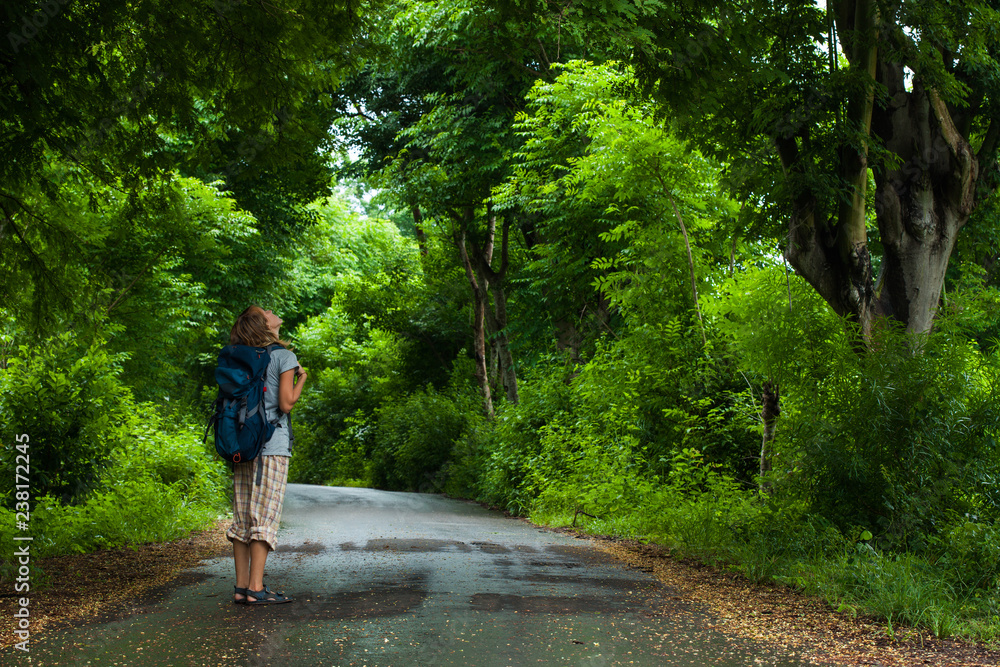 Obraz premium Woman hiker with backpack stands on the road and watches lush green foliage of the tropical trees