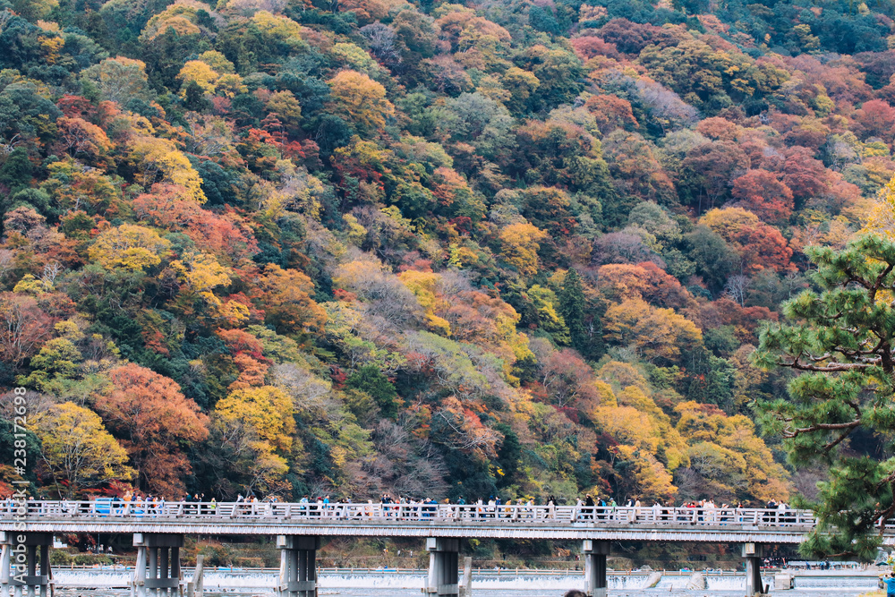 Beautiful Togetsukyo bridge in Arashiyama Kyoto Japan in autumn season .