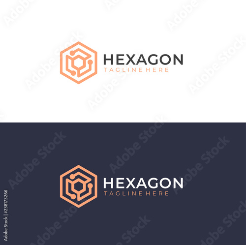Tech hexagon logo. Developer work logotype. Technology biotechnology, tech icon and symbol