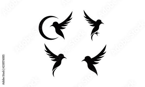 set template bird logo vector