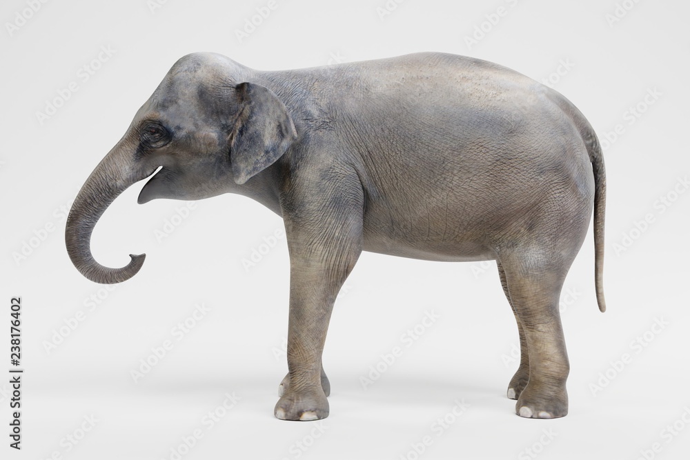 Realistic 3D Render of Asian Elephant - Female