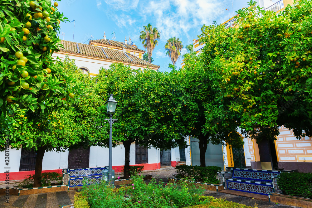 small square in Santa Cruz, Seville, Spain