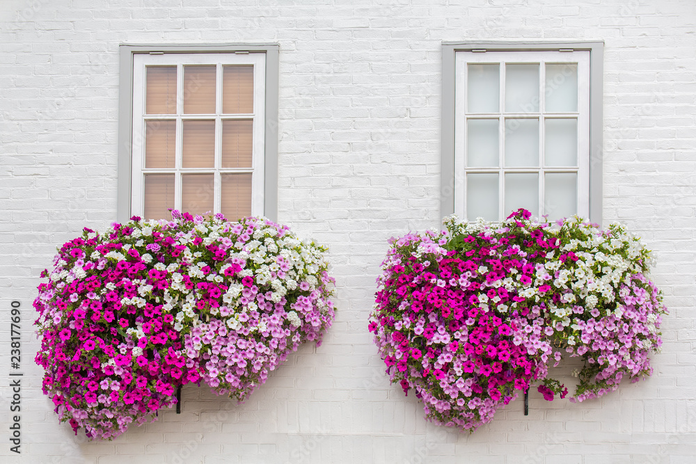 White facade with windows and flowers in flower boxes