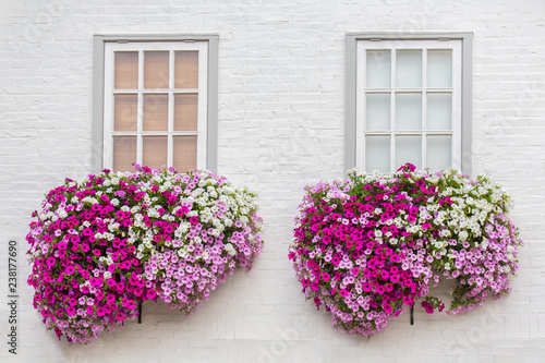 Papier peint White facade with windows and flowers in flower boxes
