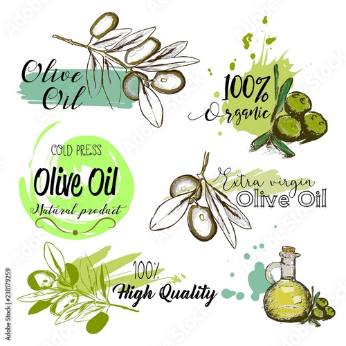 Set of hand drawn labels and signs of olive oil. Vector illustrations for olive oil labels, packaging design.
