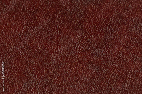 skin texture, leather