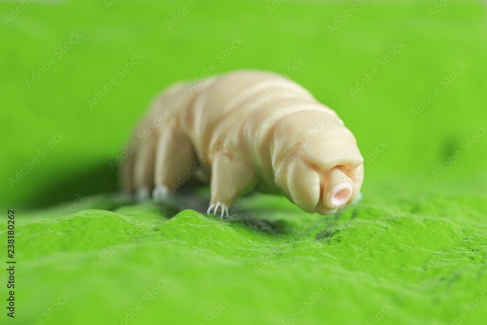 Ταπετσαρία 3d rendered medically accurate illustration of a waterbear