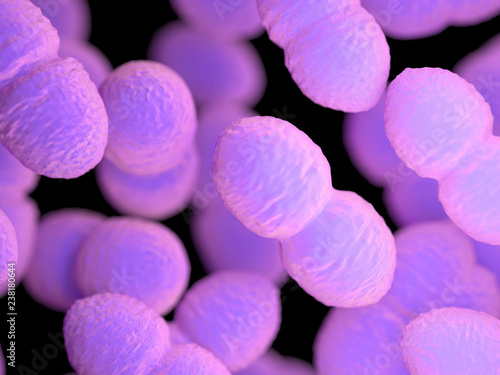 3d rendered medically accurate illustration of an enterococcus bacteria photo