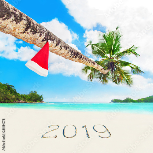 Christmas Santa hat on palm at tropical beach season 2019