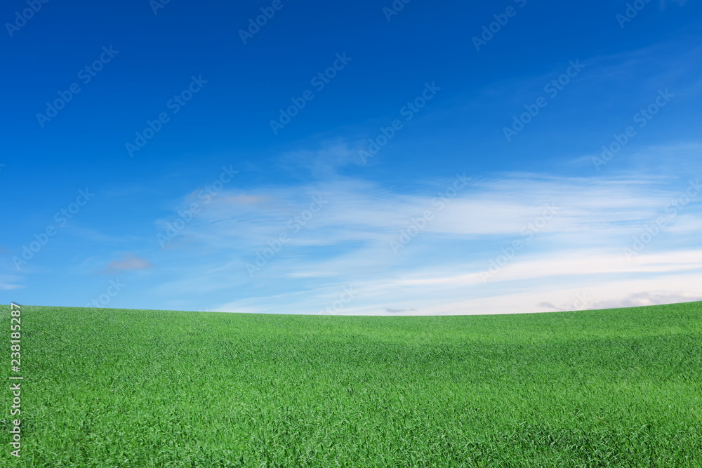 Meadow, sky, hill, clouds