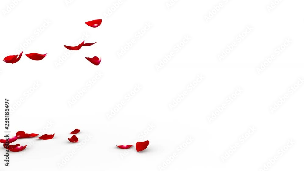 Red rose petals flying on the floor on both sides. Alpha mask included. Quality 4K video Red rose petals flying on the floor on both sides. Alpha mask included. Quality 4K video
