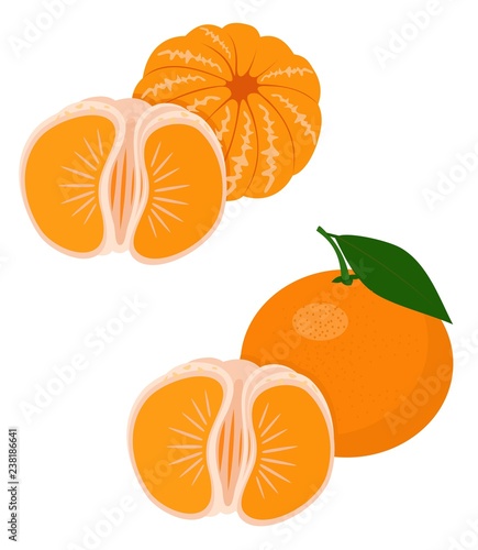 Mandarines, tangerine, clementine with leaves isolated on white background. Citrus fruit. Funny cartoon character. Vector Illustration