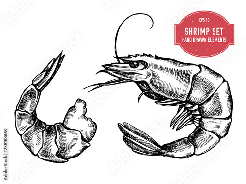 Vector collection of hand drawn black and white shrimp