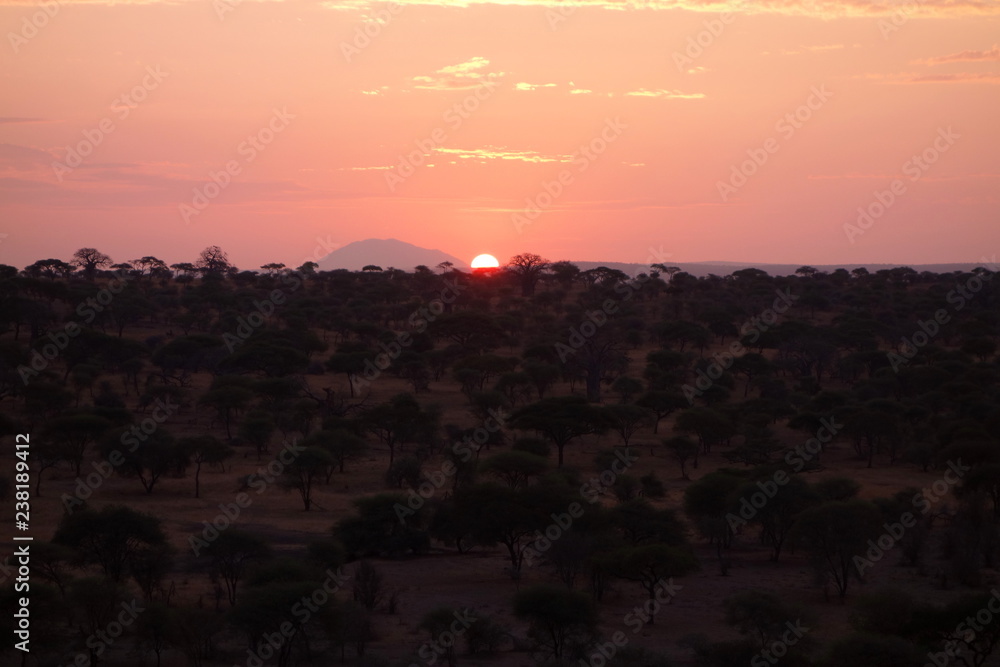 アフリカのサバンナに上る太陽とキリマンジャロ