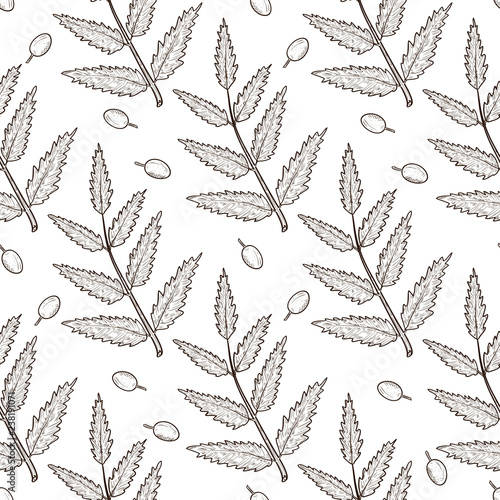 Neem. Berry, sheet, branch. Background, wallpaper, seamless. Sketch. Monophonic
