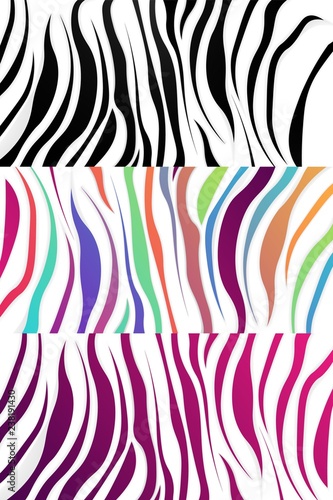 Zebra pattern set, vector illustration eps10, striped background,