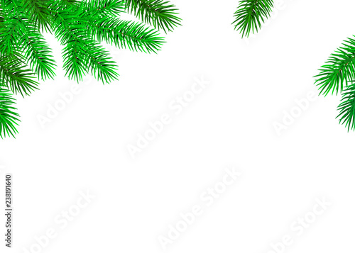 Fir branch on white background for Christmas decoration.
