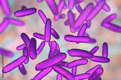 Bacteria Citrobacter, Gram-negative coliform bacteria from Enterobacteriaceae family, 3D illustration. They are found in human intestine and can cause urinary infections, infant meningitis and sepsis photo