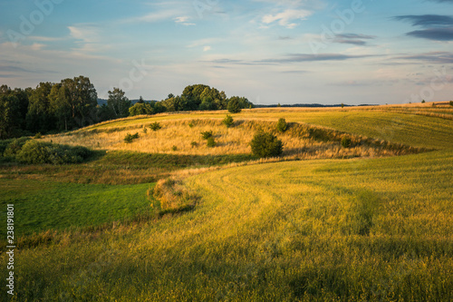 Landscape with masurian meadows near Banie Mazurskie, Masuria, Poland